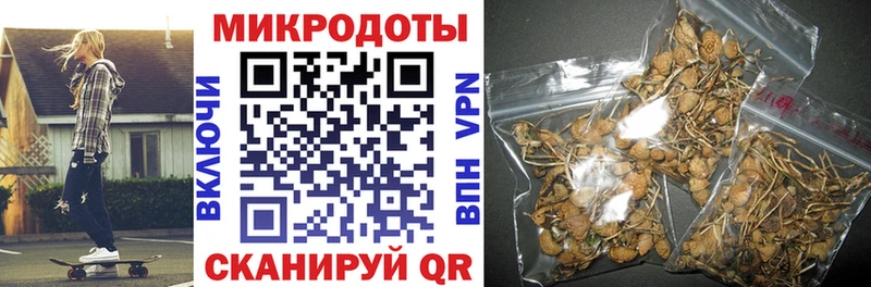 mega маркетплейс  Дудинка  Псилоцибиновые грибы MAGIC MUSHROOMS  купить  